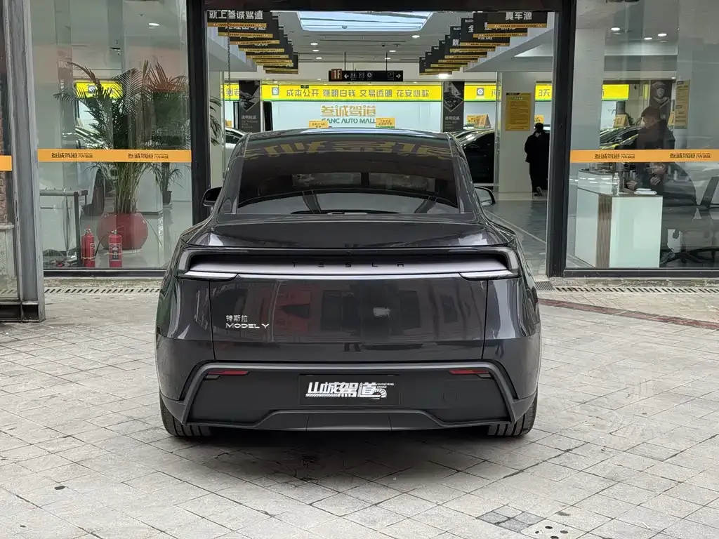 Tesla Model Y 2025 из CN, фото 3