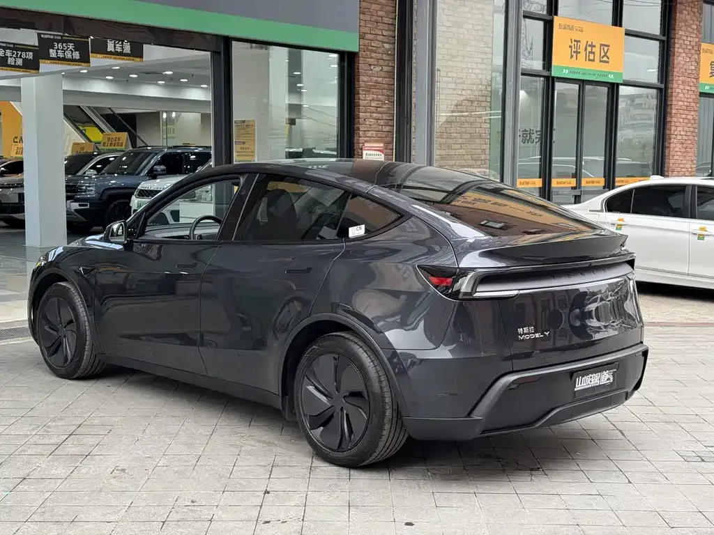 Tesla Model Y 2025 из CN, фото 9