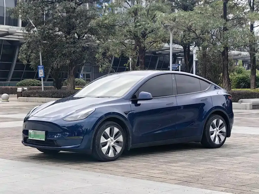 Tesla Model Y — фото 9