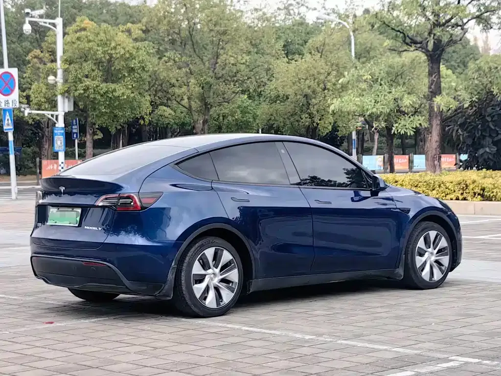 Tesla Model Y — фото 6