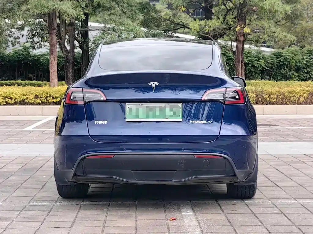 Tesla Model Y — фото 8