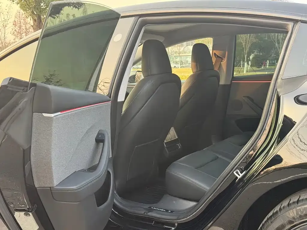 Tesla Model 3 2024 из CN, фото 8