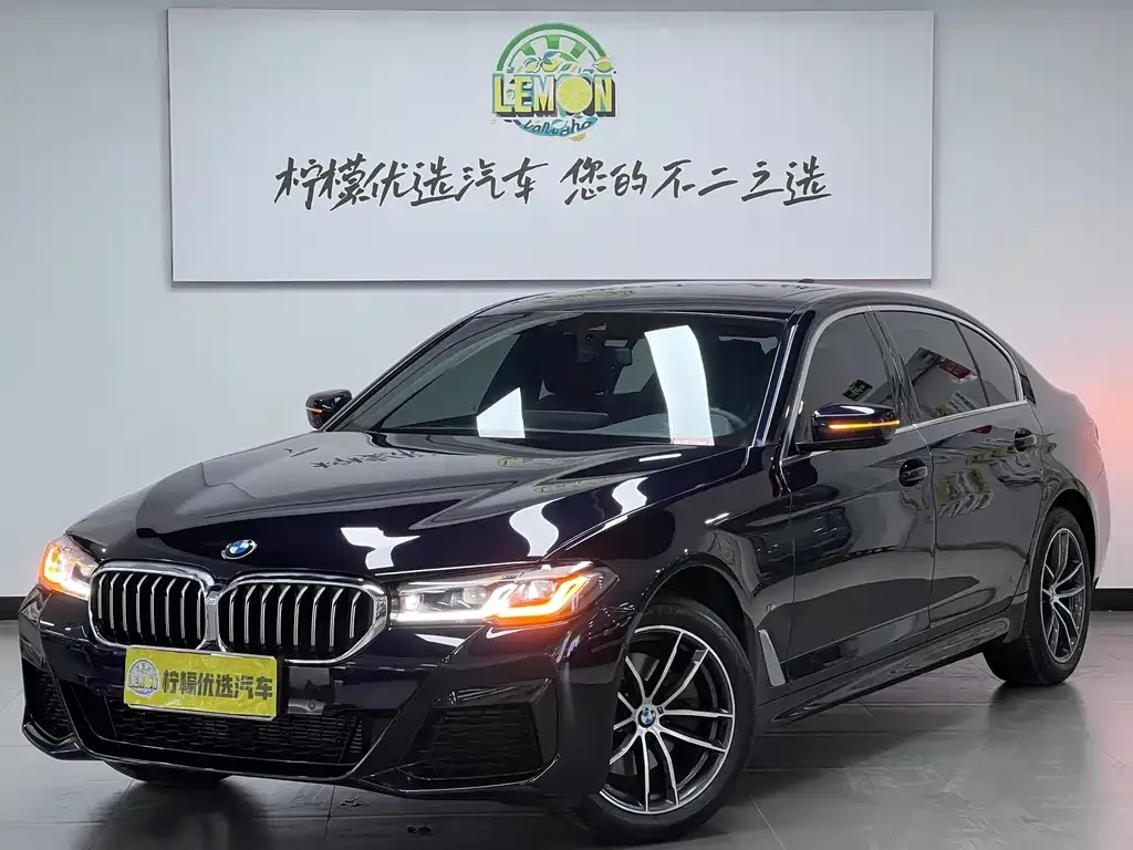 BMW 5 Series 2024 из CN, фото 1