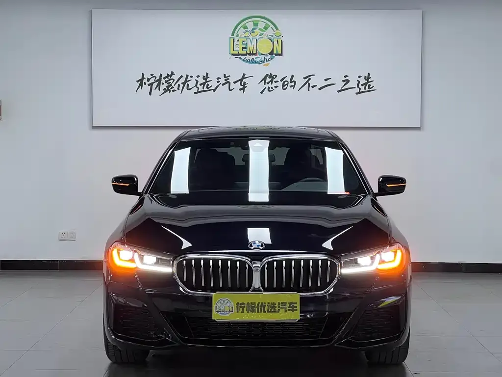 BMW 5 Series 2024 из CN, фото 2