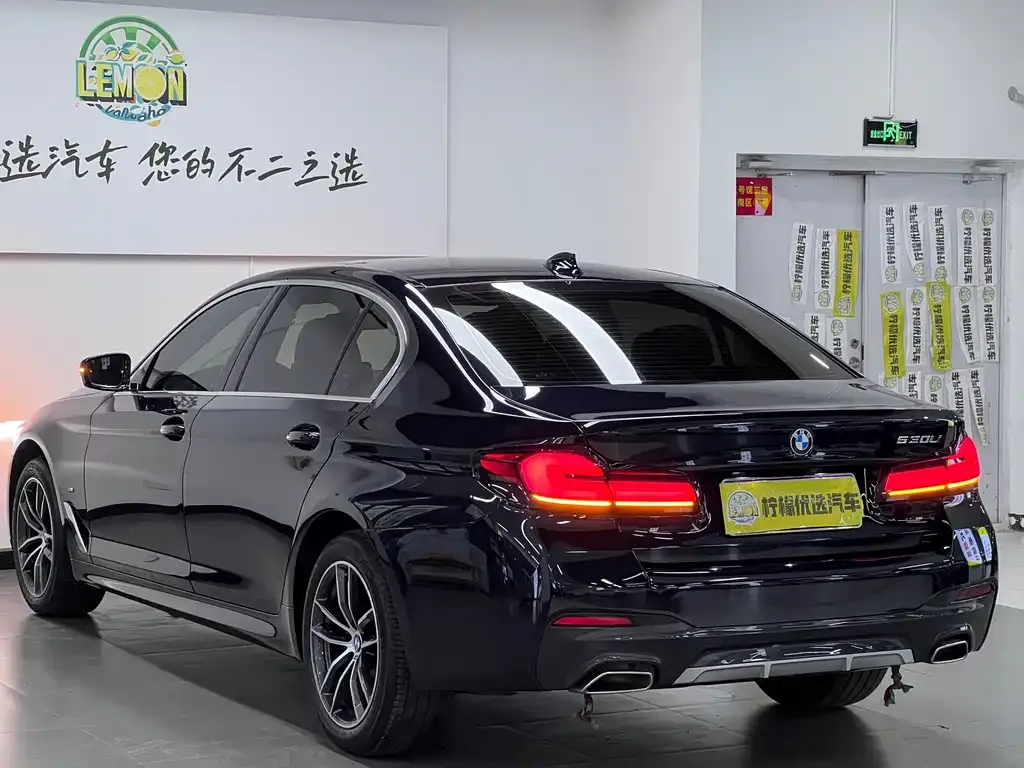 BMW 5 Series 2024 из CN, фото 4