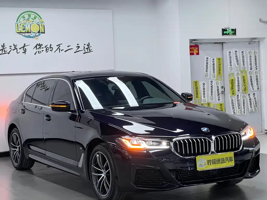 BMW 5 Series 2024 из CN, фото 5