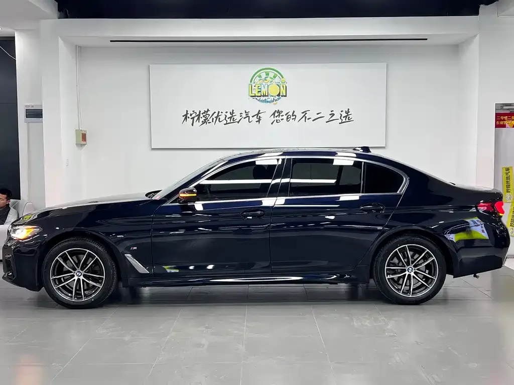 BMW 5 Series 2024 из CN, фото 6