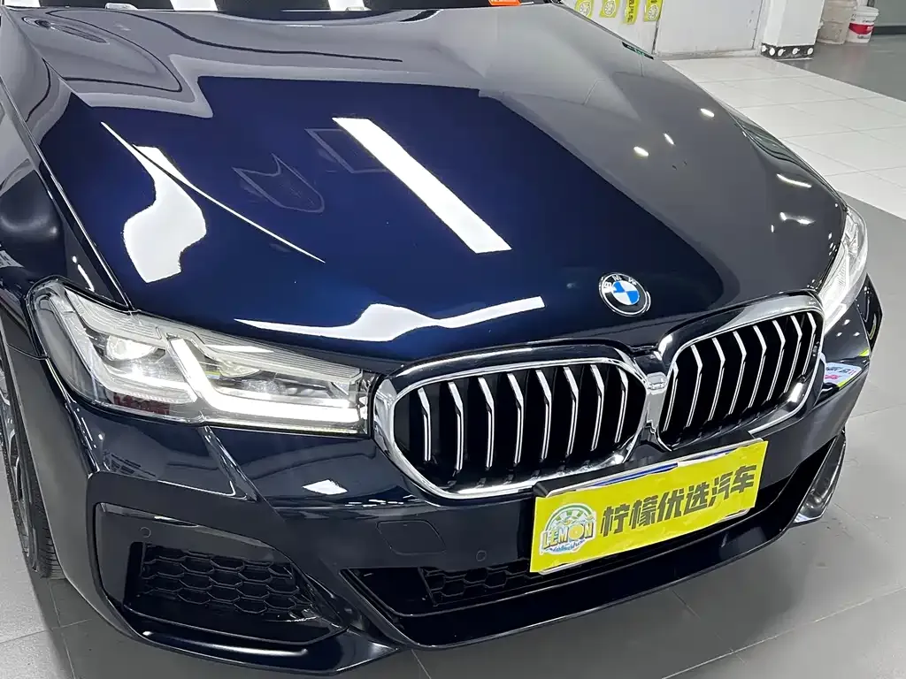 BMW 5 Series 2024 из CN, фото 7