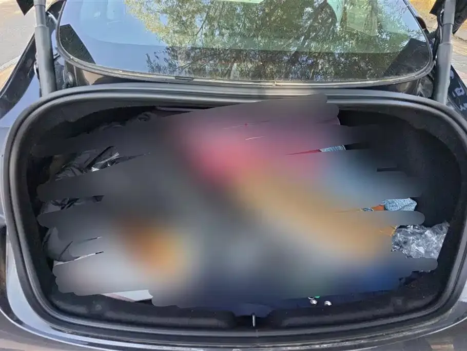 Tesla Model 3 2025 из CN, фото 9