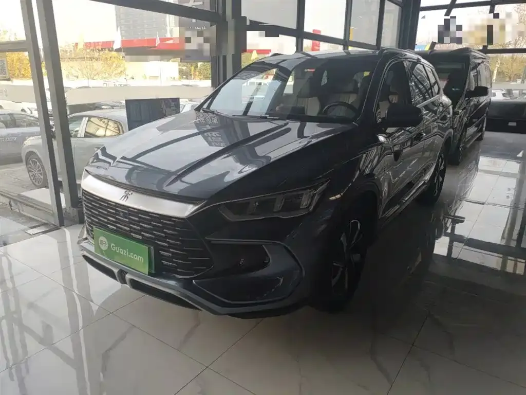 BYD Pro New Energy 2024 из CN, фото 2