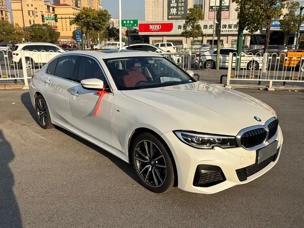 BMW 3 Series 2022 из CN, фото 6