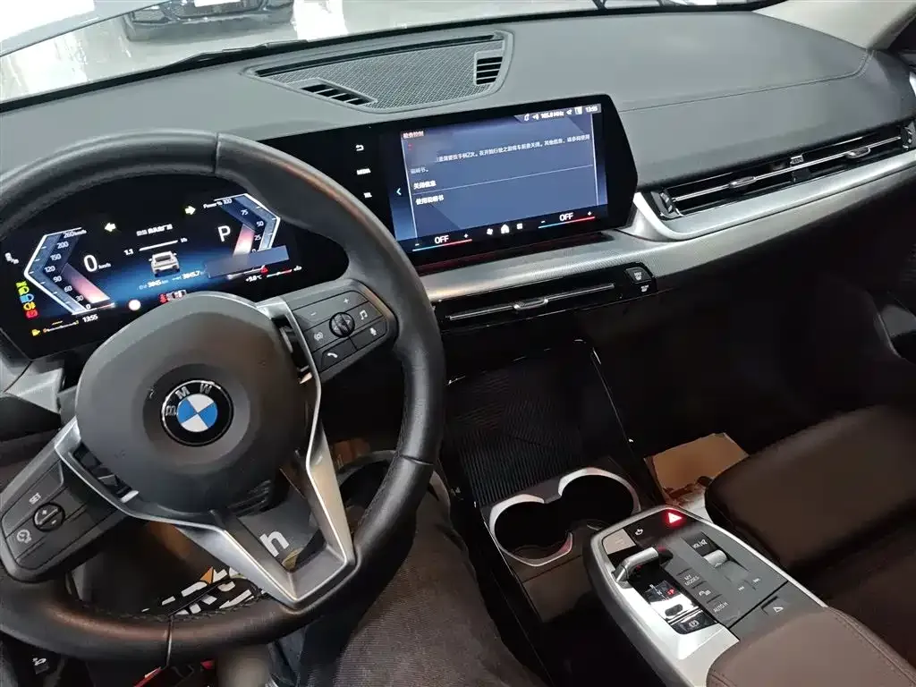 BMW X2 (Import) 2025 из CN, фото 8