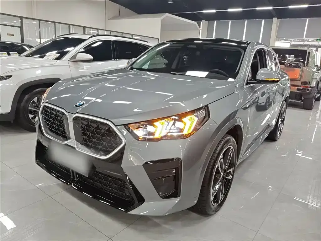 BMW X2 (Import) 2025 из CN, фото 6