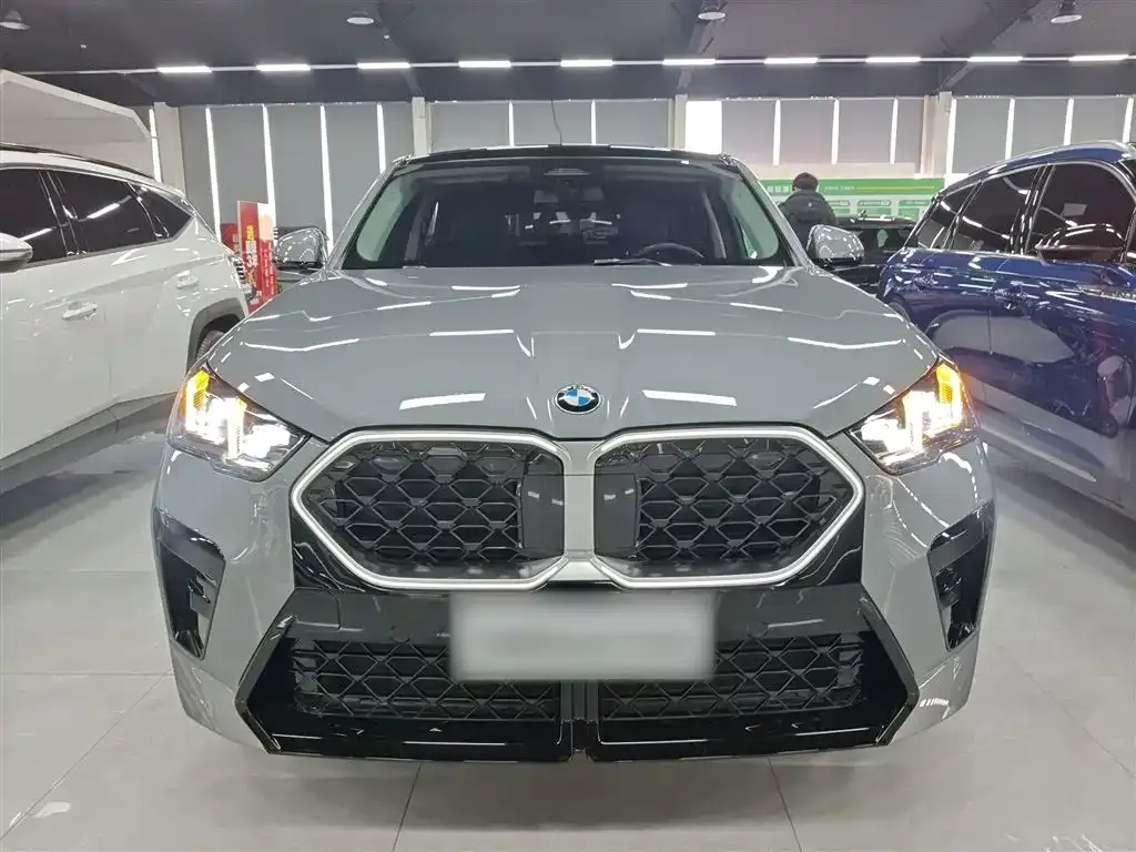 BMW X2 (Import) 2025 из CN, фото 5