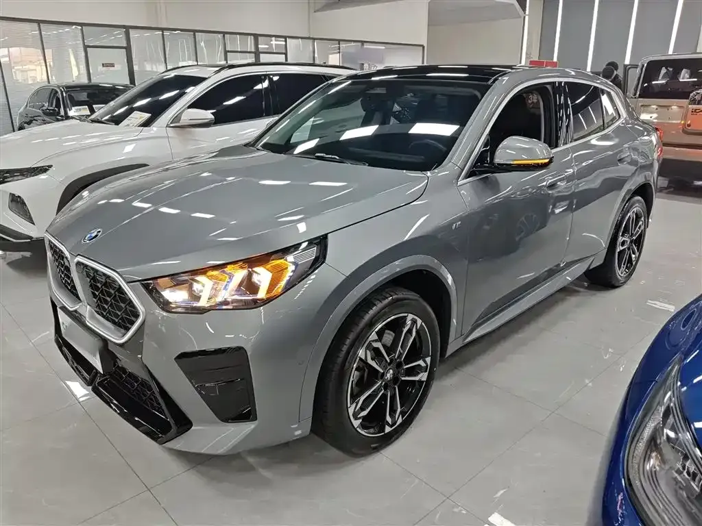 BMW X2 (Import) 2025 из CN, фото 9