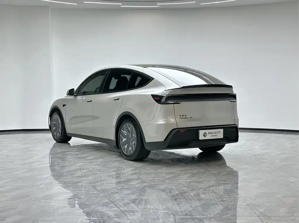 Tesla Model Y L 2025 из CN, фото 7