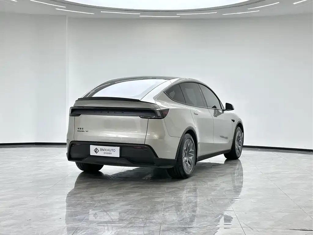 Tesla Model Y L 2025 из CN, фото 2