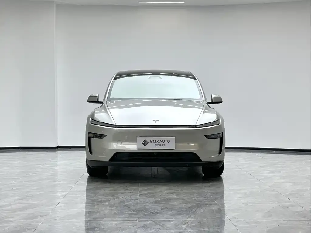 Tesla Model Y L 2025 из CN, фото 9
