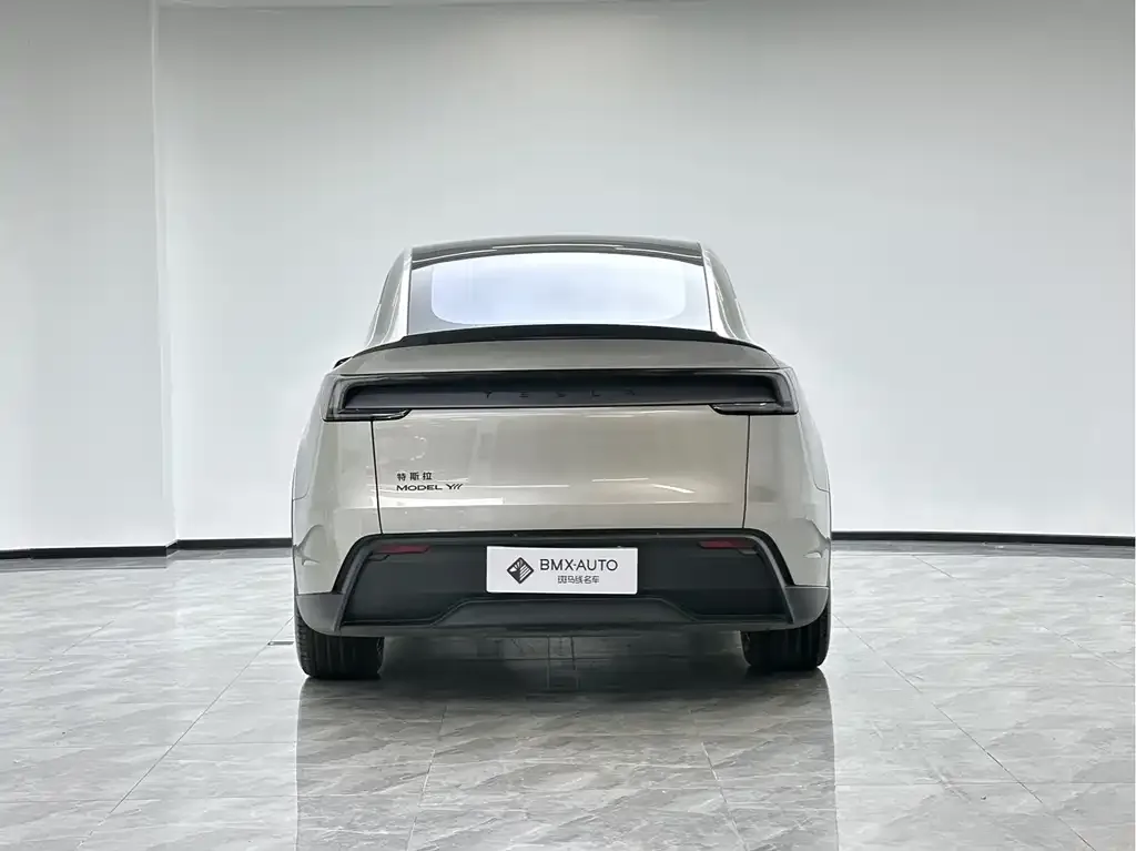 Tesla Model Y L 2025 из CN, фото 8