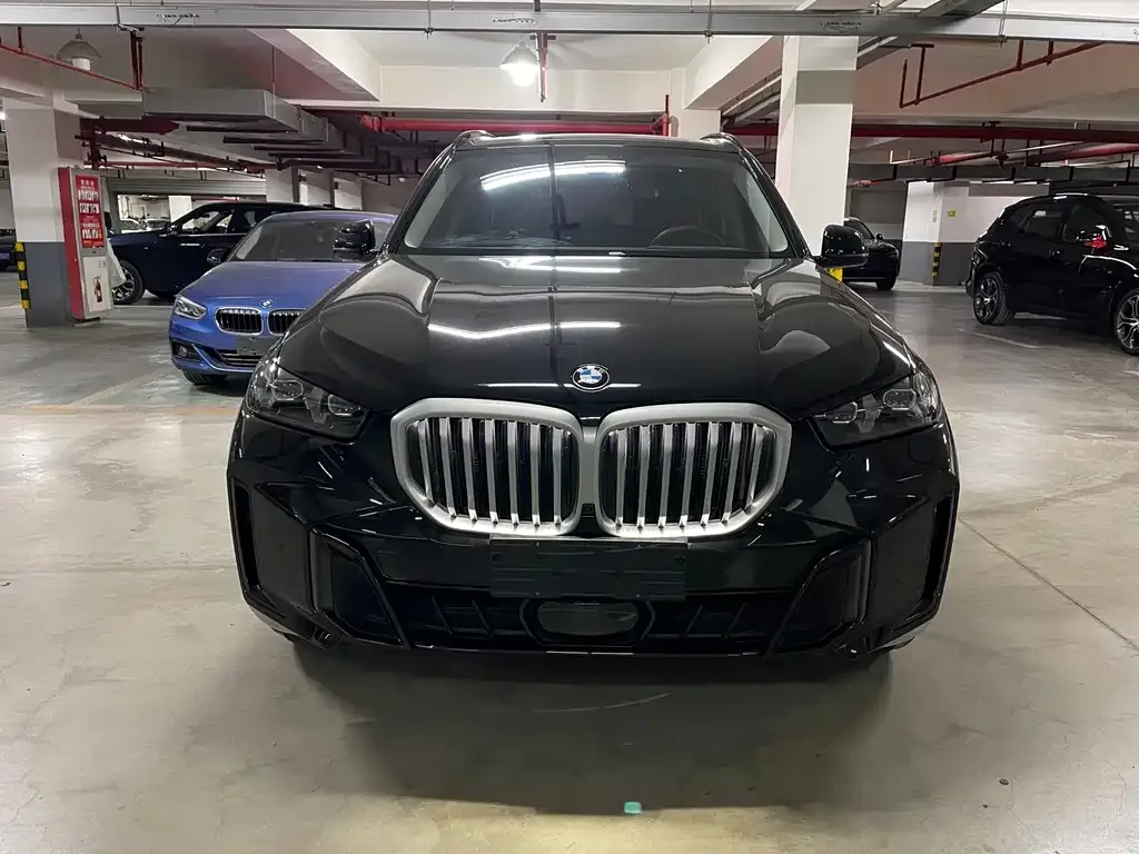 BMW X5 2025 из CN, фото 6