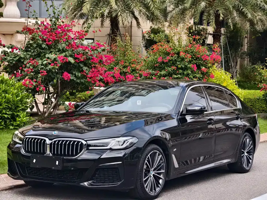BMW 5 Series — фото 1