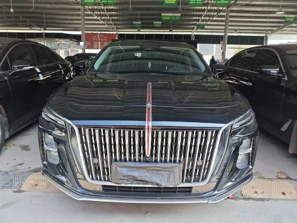 Hongqi H5 2023 из CN, фото 3