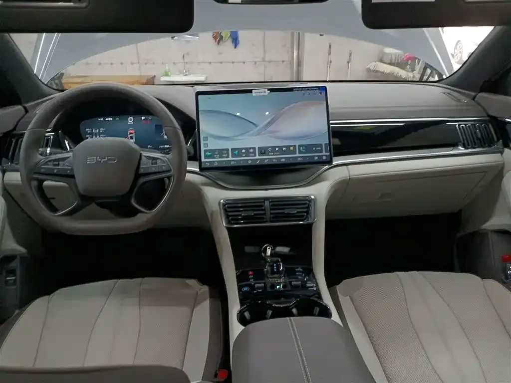 BYD PLUS New Energy 2025 из CN, фото 9