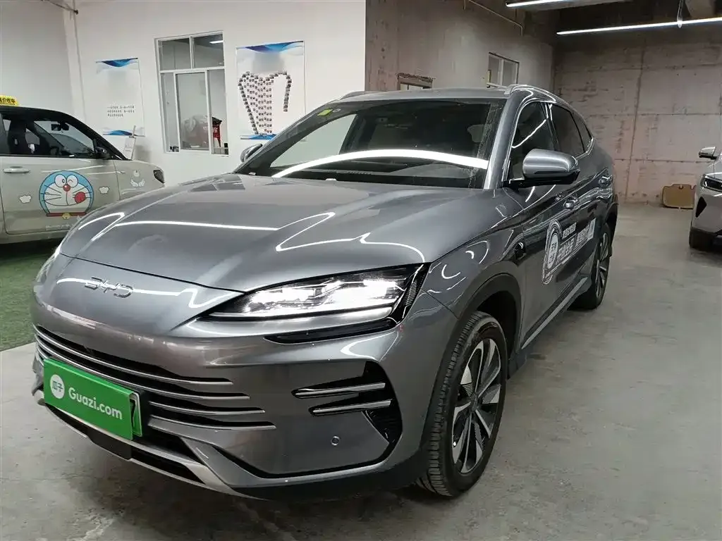 BYD PLUS New Energy 2025 из CN, фото 3