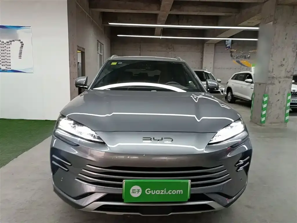 BYD PLUS New Energy 2025 из CN, фото 2