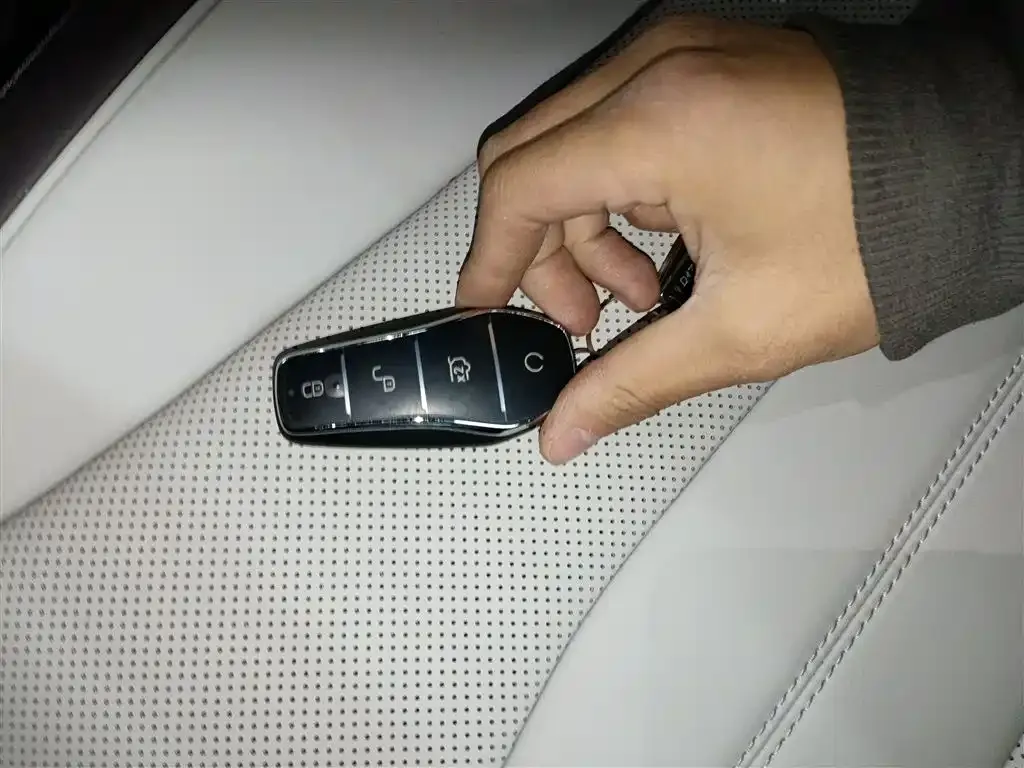 BYD PLUS New Energy 2025 из CN, фото 10