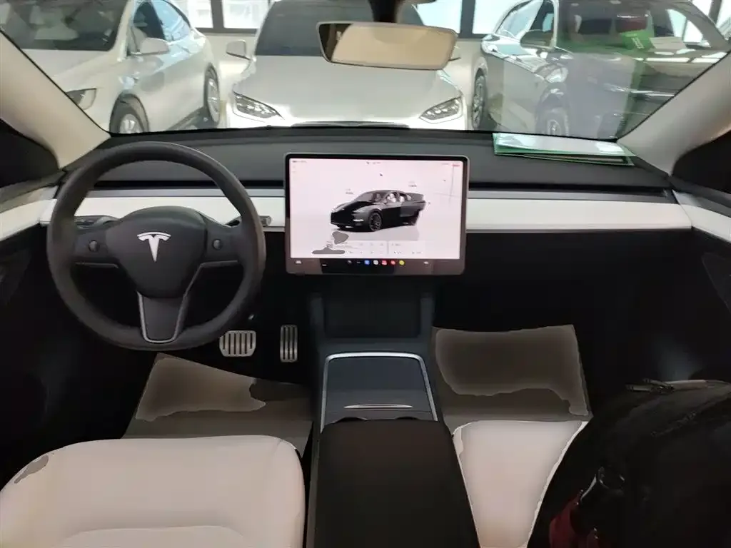 Tesla Model Y 2021 из CN, фото 2