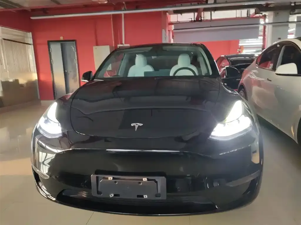 Tesla Model Y 2021 из CN, фото 5