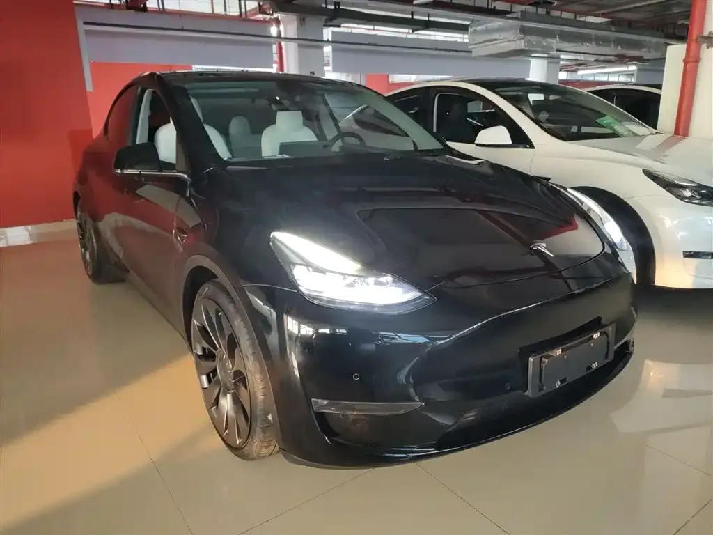 Tesla Model Y 2021 из CN, фото 9