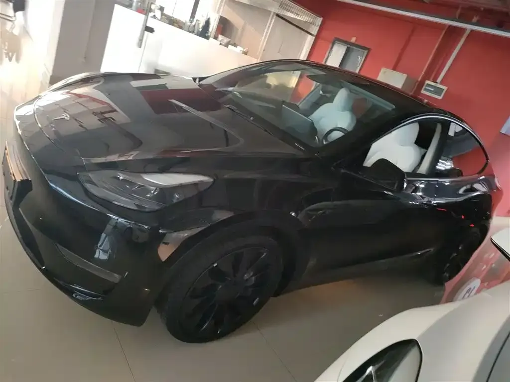 Tesla Model Y 2021 из CN, фото 6