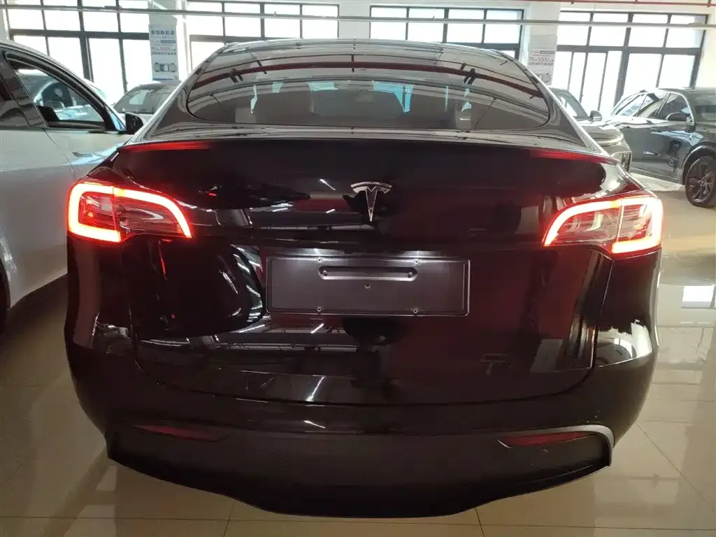 Tesla Model Y 2021 из CN, фото 8