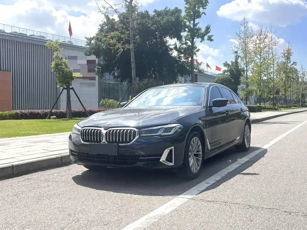 BMW 5 Series 2022 из CN, фото 1