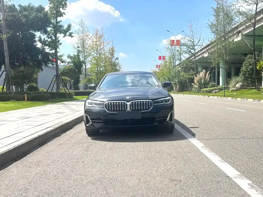 BMW 5 Series 2022 из CN, фото 2