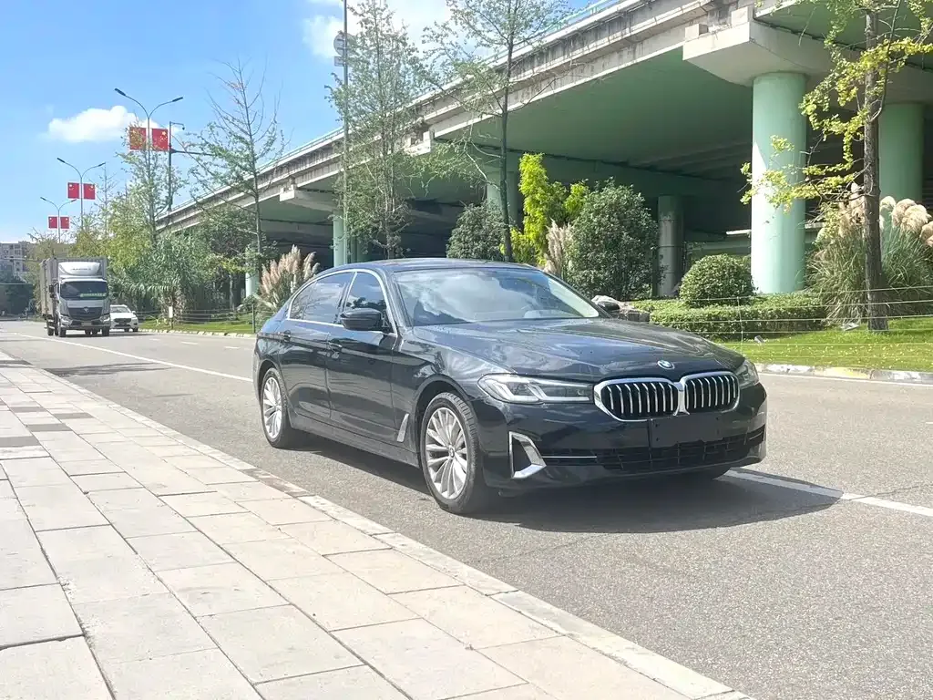 BMW 5 Series 2022 из CN, фото 3