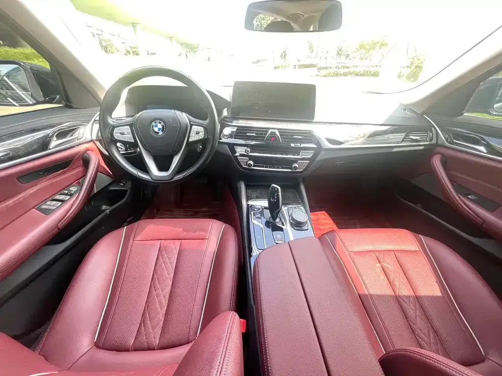 BMW 5 Series 2022 из CN, фото 6