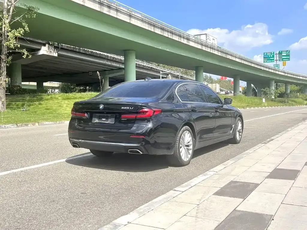 BMW 5 Series 2022 из CN, фото 8
