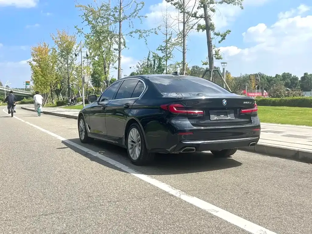 BMW 5 Series 2022 из CN, фото 9
