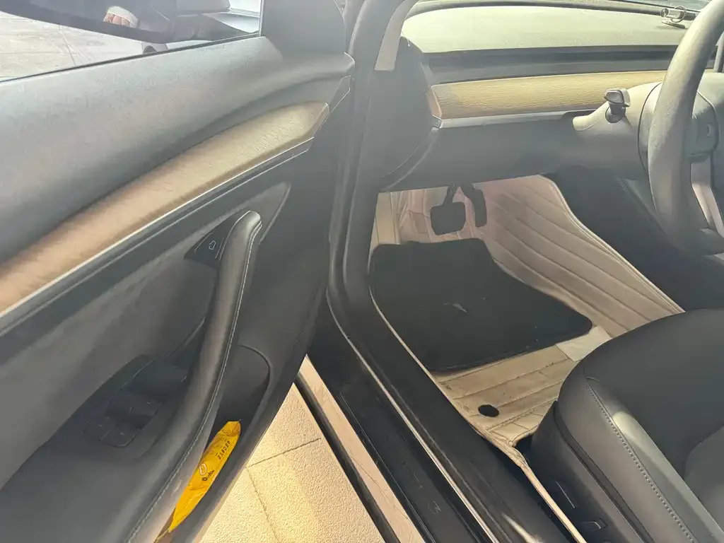 Tesla Model 3 2021 из CN, фото 3