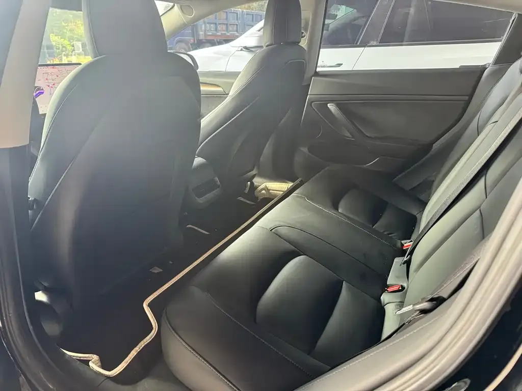 Tesla Model 3 2021 из CN, фото 6