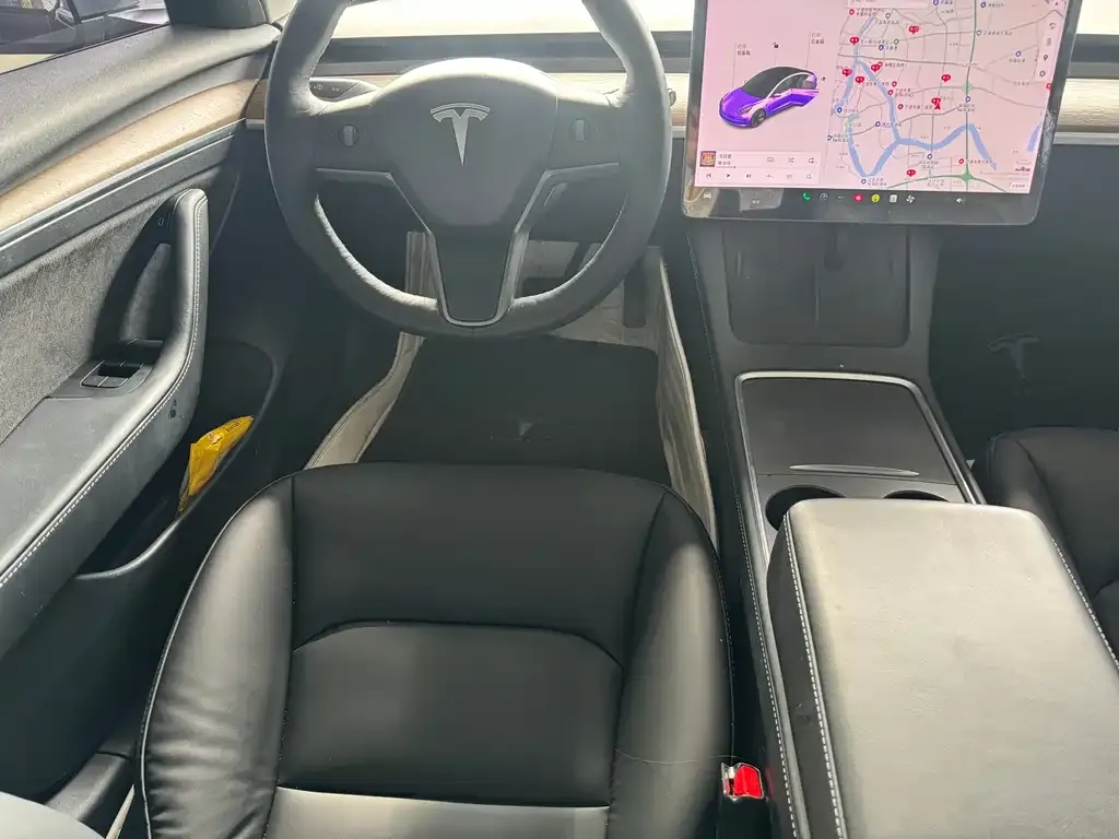 Tesla Model 3 2021 из CN, фото 8
