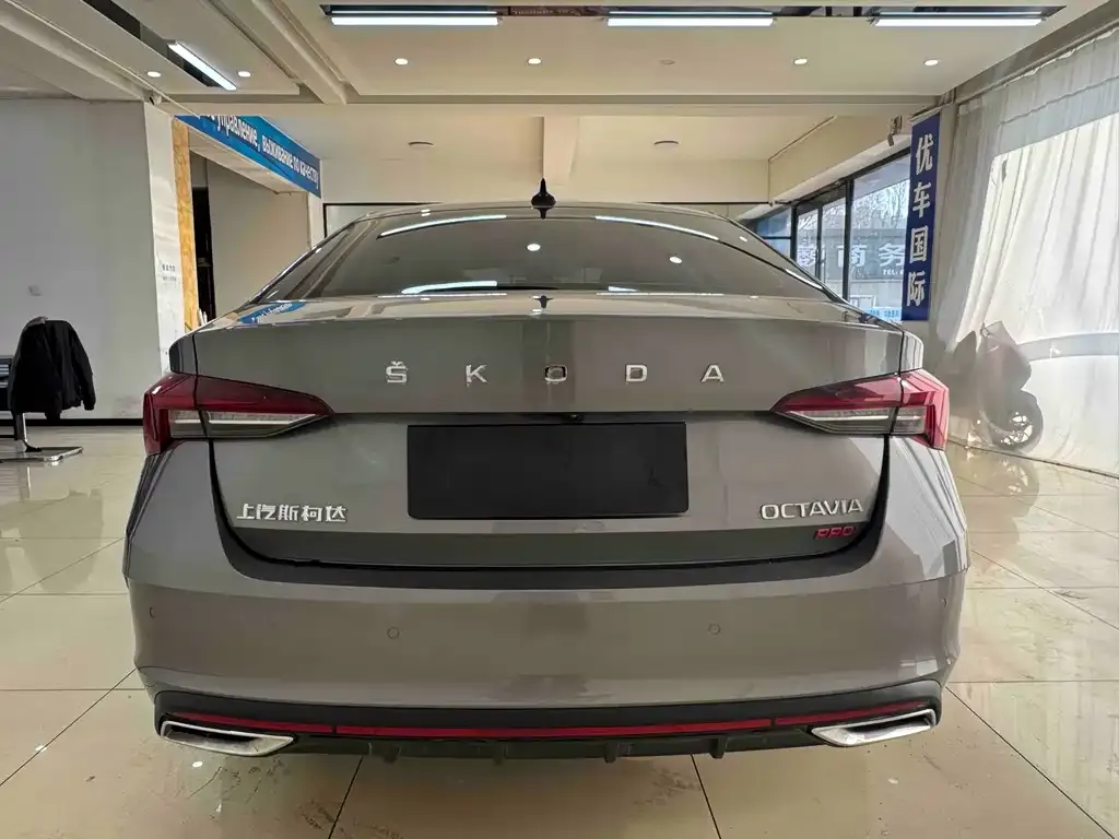 Skoda Octavia 2022 из CN, фото 3