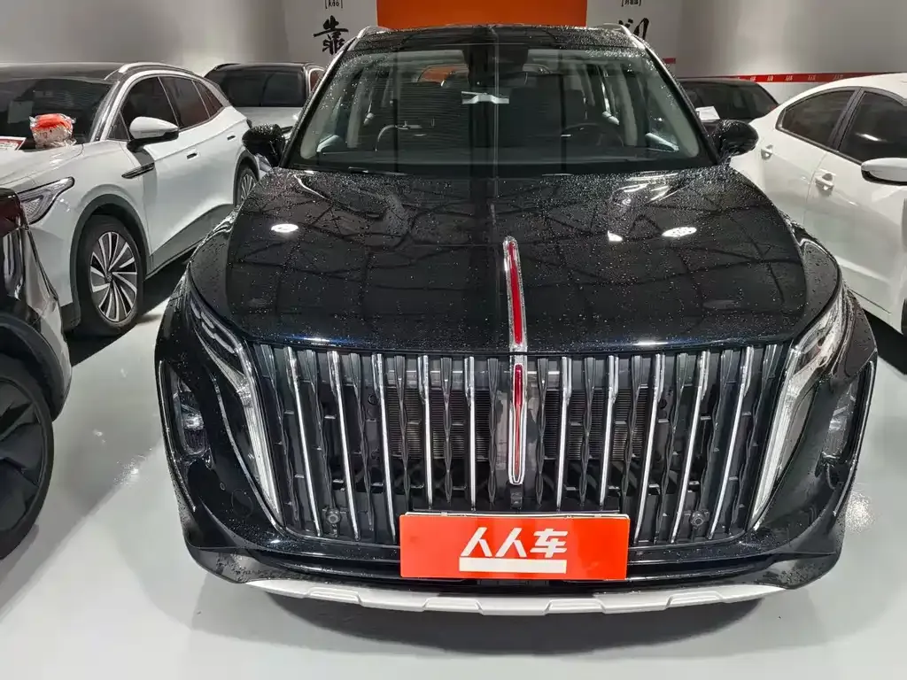 Hongqi HS7 PHEV 2024 из CN, фото 5