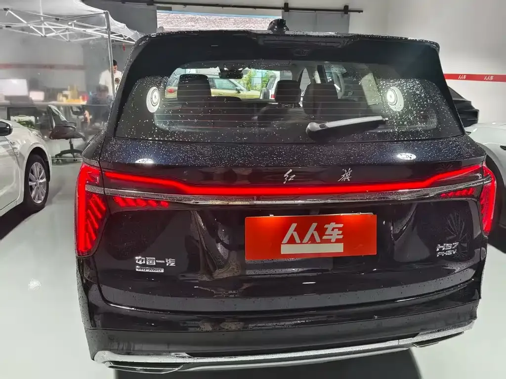 Hongqi HS7 PHEV 2024 из CN, фото 9