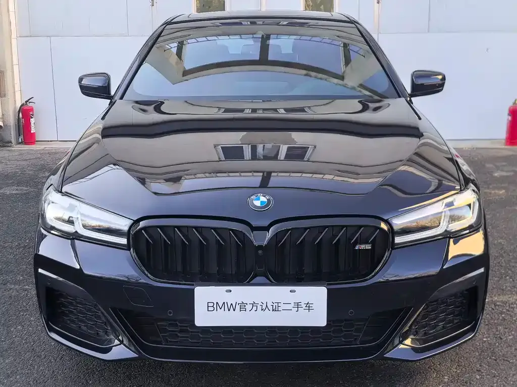 BMW 5 Series (Import) 2024 из CN, фото 9