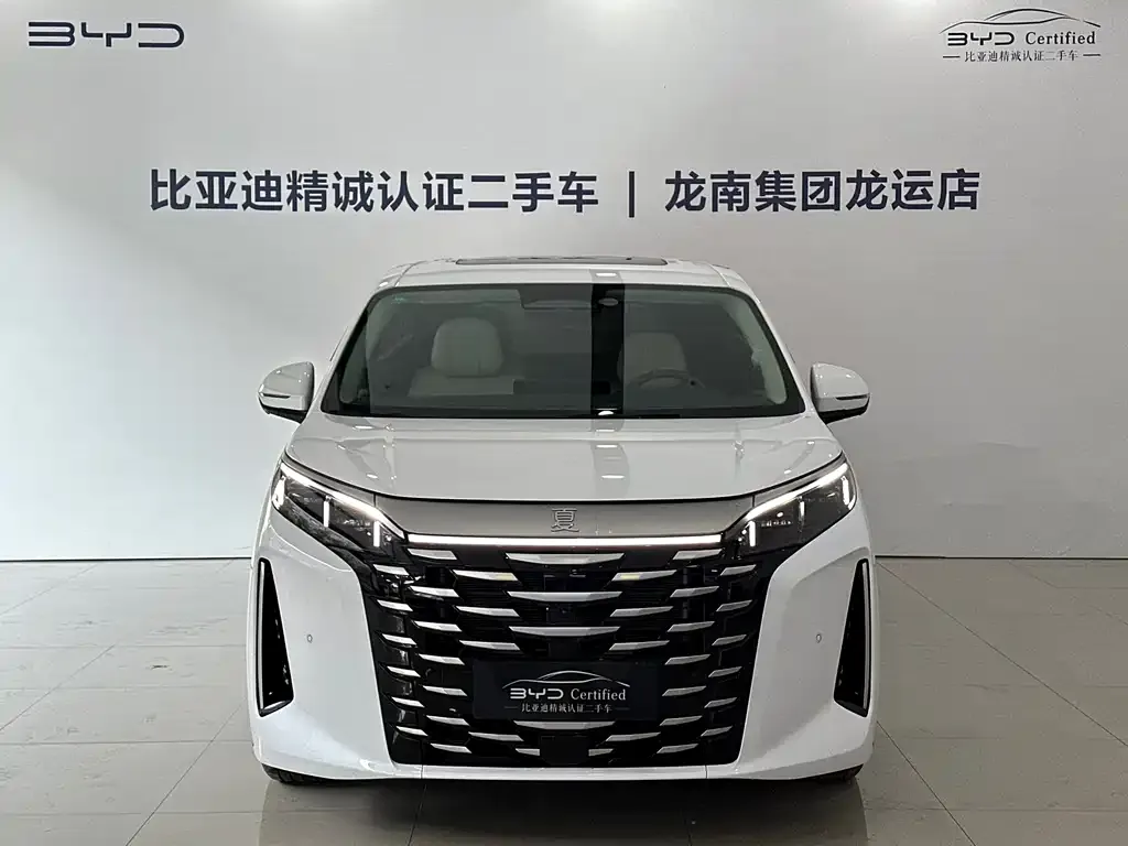 BYD Xia 2025 из CN, фото 2