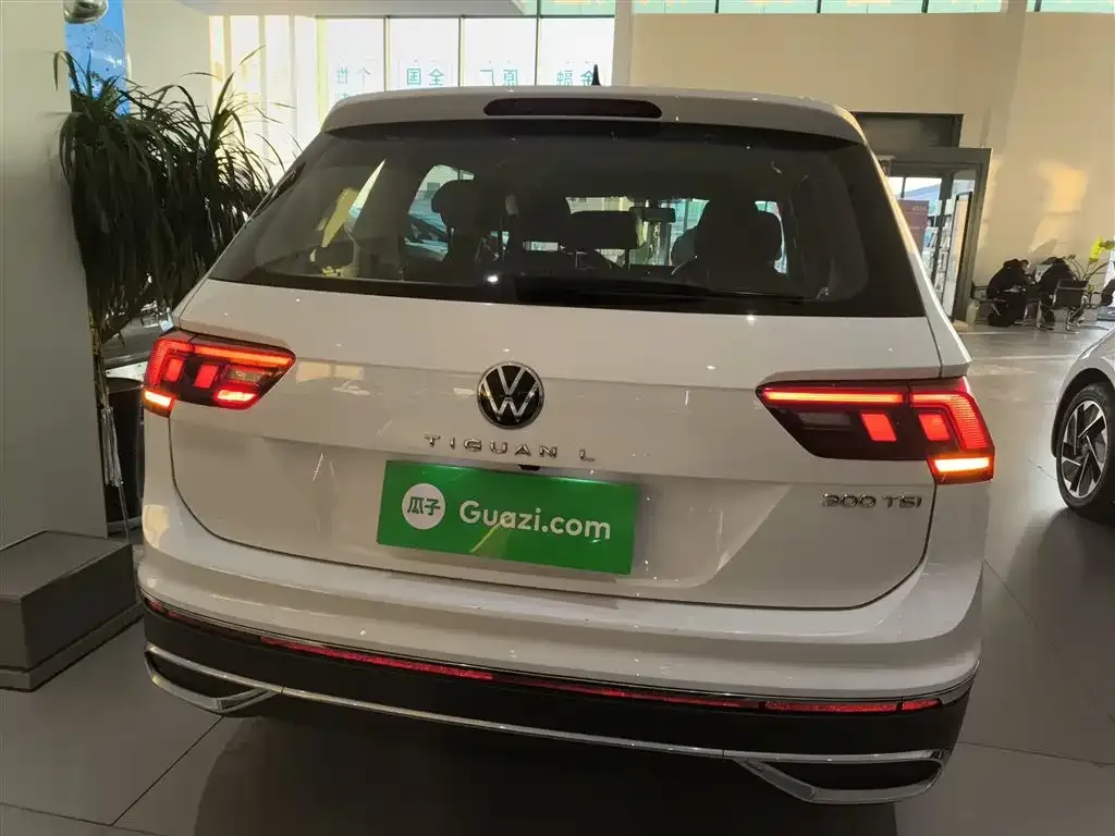 Volkswagen Tiguan L 2023 из CN, фото 7